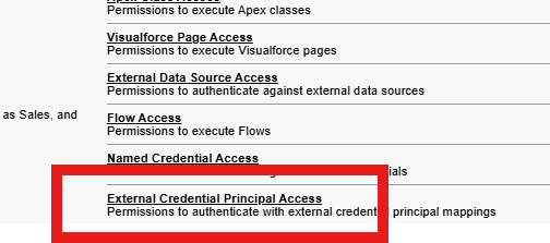 Permission set Apps: External Credential Principal Access